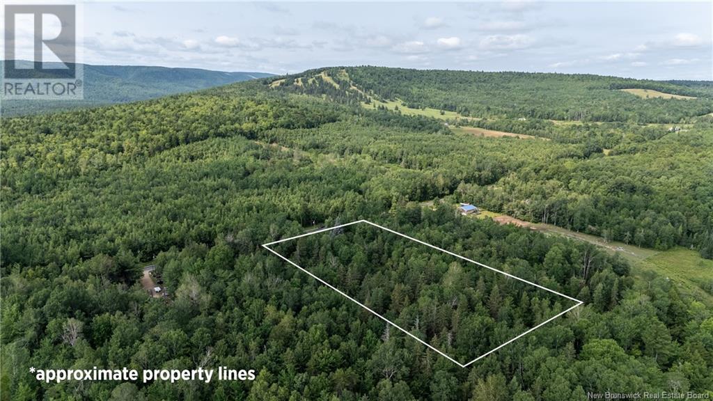4148 Route 910, Shenstone, New Brunswick  E4H 4H2 - Photo 3 - NB122814