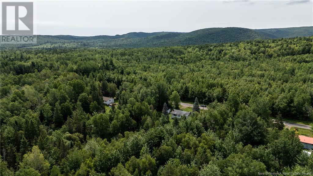 4148 Route 910, Shenstone, New Brunswick  E4H 4H2 - Photo 9 - NB122814