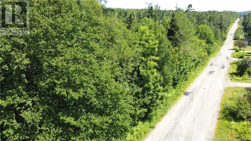 Lot 23-2 Harkness Road, Chamcook, New Brunswick  E5B 3E7 - Photo 7 - NB122533