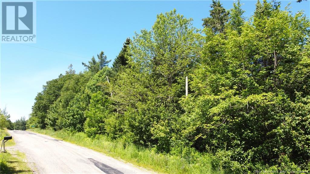 Lot 23-2 Harkness Road, Chamcook, New Brunswick  E5B 3E7 - Photo 9 - NB122533