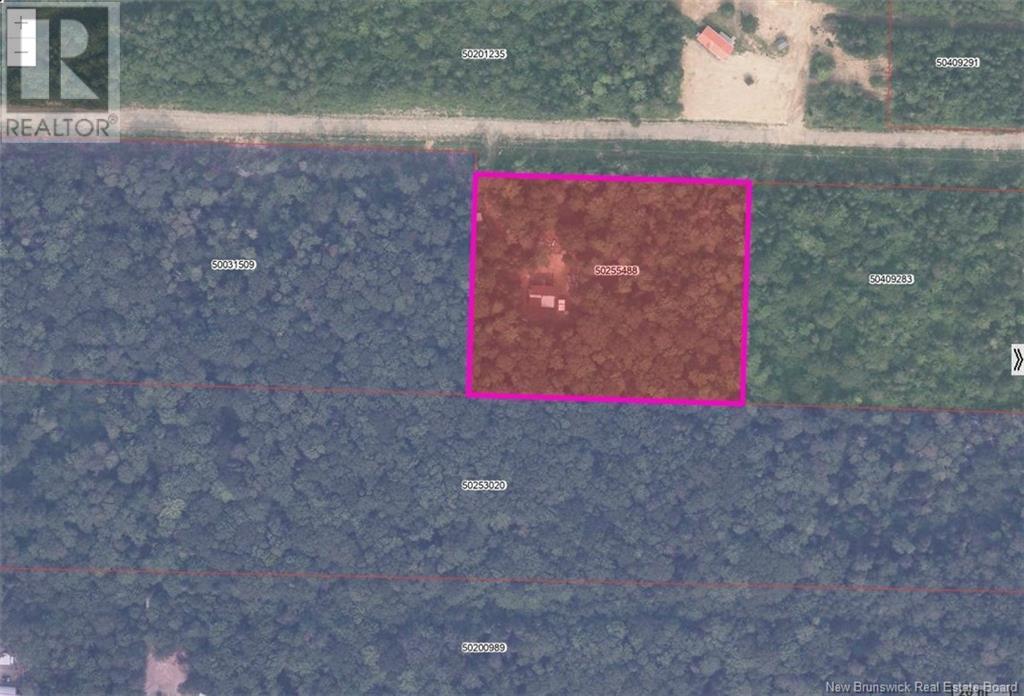 Lot Eva Road, Kedgwick, New Brunswick  E8B 2C1 - Photo 7 - NB122613