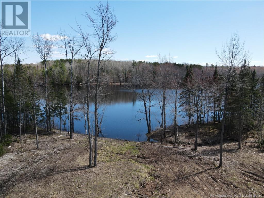 3506 Route 690, Flowers Cove, New Brunswick  E4B 2H1 - Photo 16 - NB122912