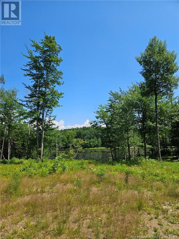 3506 Route 690, Flowers Cove, New Brunswick  E4B 2H1 - Photo 22 - NB122912