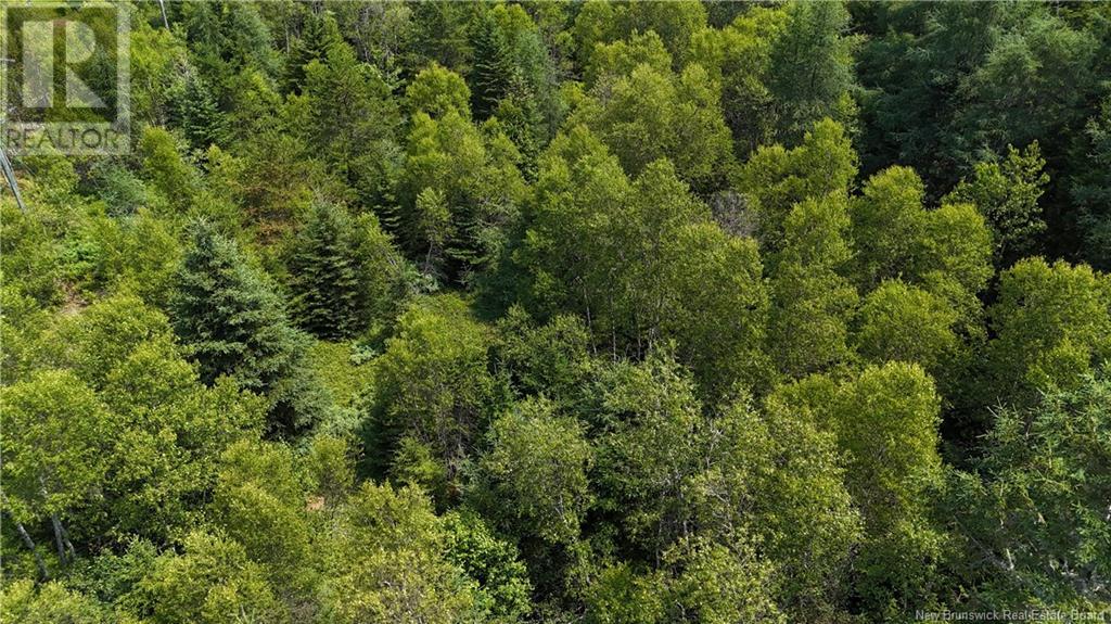 Route 780, Utopia, New Brunswick  E5C 2G1 - Photo 2 - NB122904