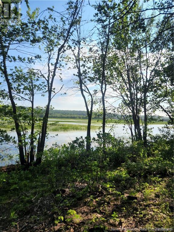 Lot 2012-2 Elm Hill, Central Hampstead, New Brunswick  E5M 1Y6 - Photo 2 - NB122878