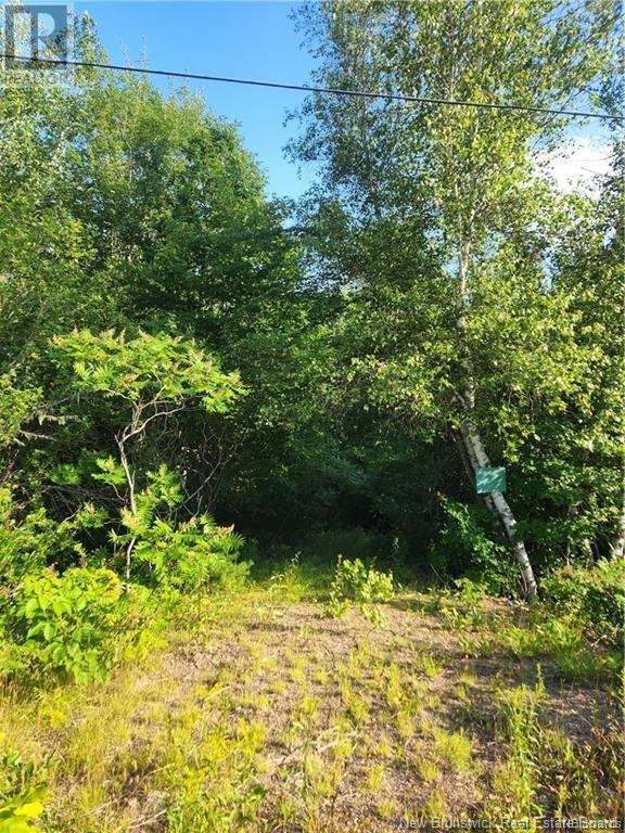 Lot 2012-2 Elm Hill, Central Hampstead, New Brunswick  E5M 1Y6 - Photo 3 - NB122878