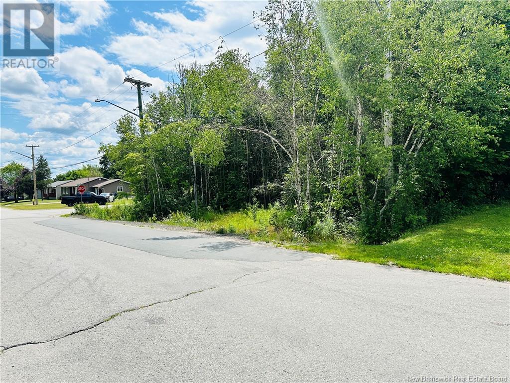844 Sq Mt Carroll Street, Miramichi, New Brunswick  E1V 6R3 - Photo 3 - NB122949