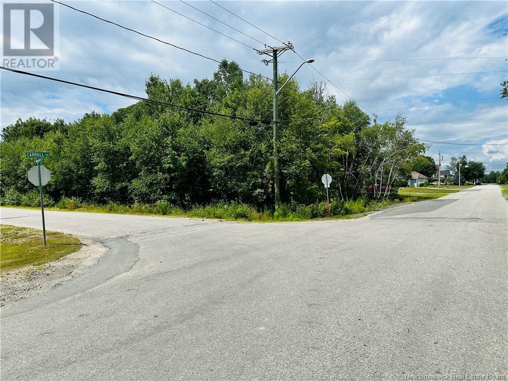 844 Sq Mt Carroll Street, Miramichi, New Brunswick  E1V 6R3 - Photo 4 - NB122949