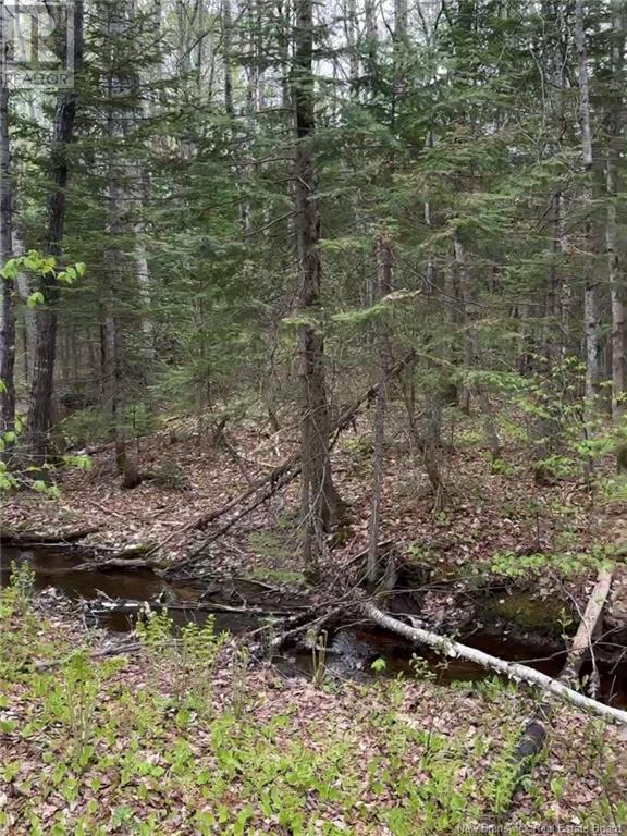 14 Acres Islandview Drive, Miramichi, New Brunswick  E1N 6B5 - Photo 4 - NB122938
