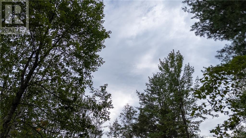 Lot Route 126, Birch Ridge, New Brunswick  E4T 2B9 - Photo 10 - NB122943