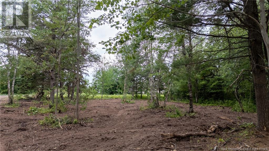 Lot Route 126, Birch Ridge, New Brunswick  E4T 2B9 - Photo 11 - NB122943