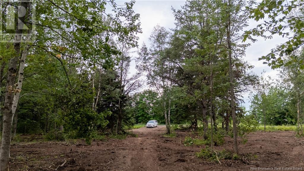 Lot Route 126, Birch Ridge, New Brunswick  E4T 2B9 - Photo 12 - NB122943