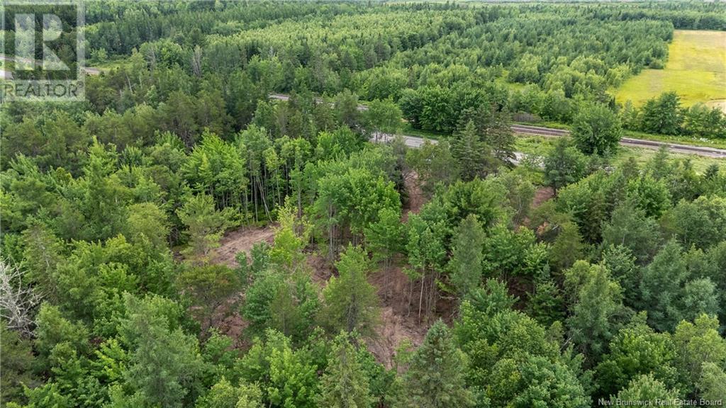 Lot Route 126, Birch Ridge, New Brunswick  E4T 2B9 - Photo 14 - NB122943