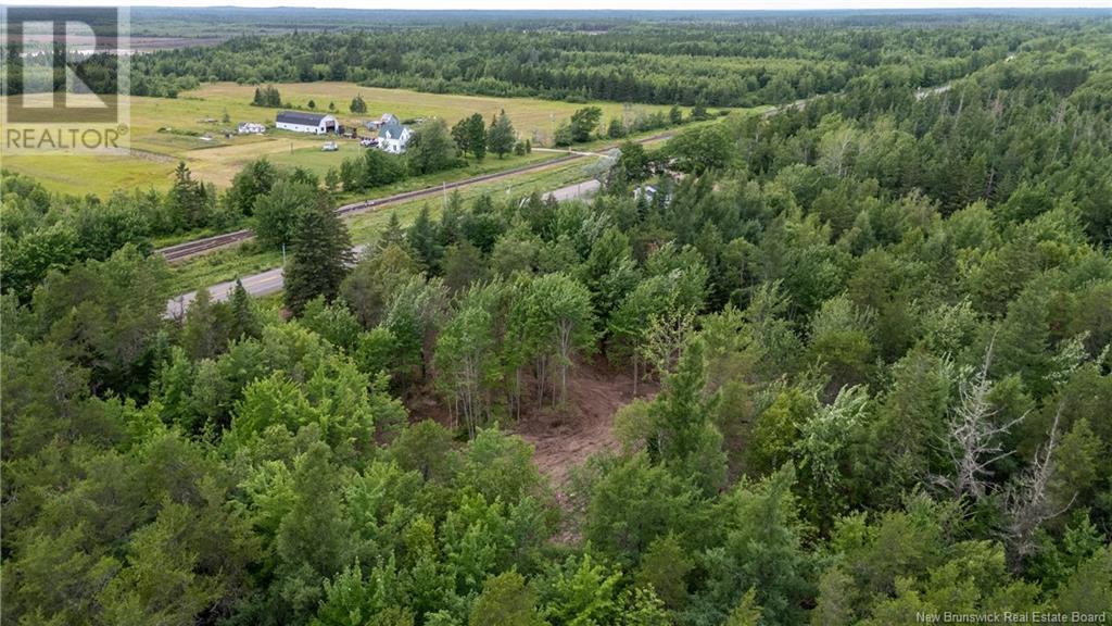 Lot Route 126, Birch Ridge, New Brunswick  E4T 2B9 - Photo 15 - NB122943
