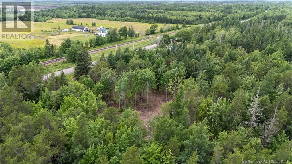 Lot Route 126, Birch Ridge, New Brunswick  E4T 2B9 - Photo 16 - NB122943
