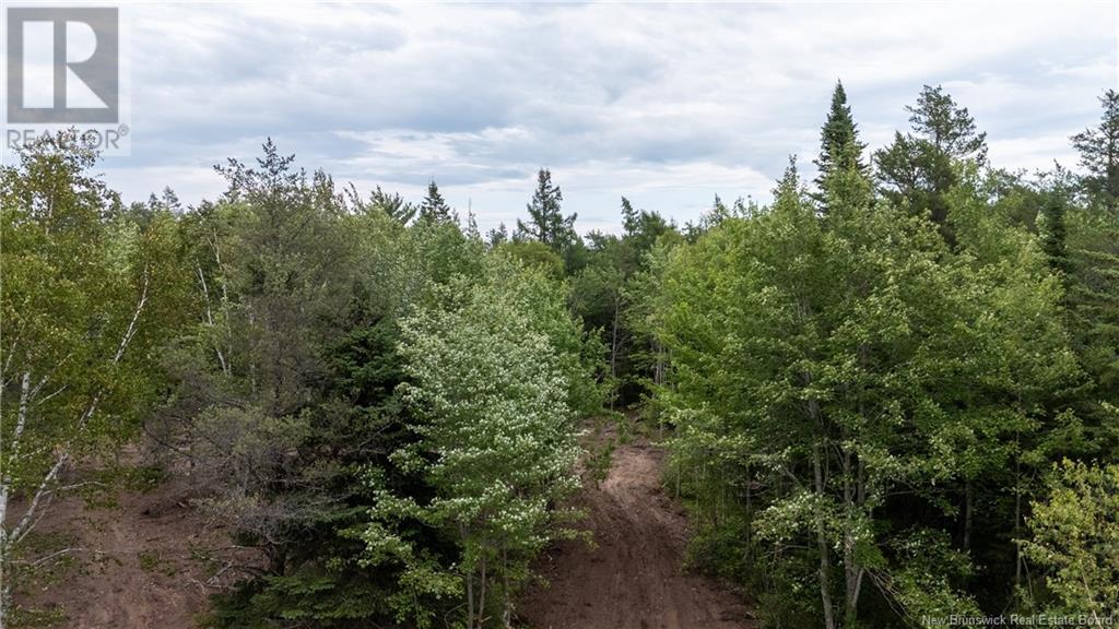 Lot Route 126, Birch Ridge, New Brunswick  E4T 2B9 - Photo 20 - NB122943
