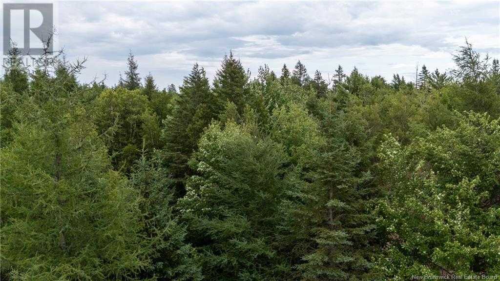 Lot Route 126, Birch Ridge, New Brunswick  E4T 2B9 - Photo 21 - NB122943