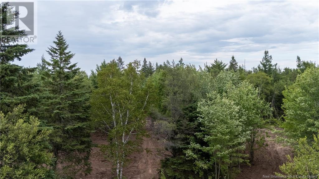 Lot Route 126, Birch Ridge, New Brunswick  E4T 2B9 - Photo 22 - NB122943