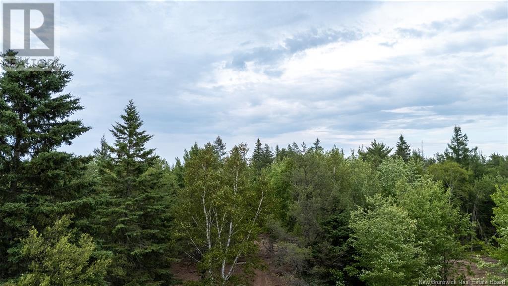 Lot Route 126, Birch Ridge, New Brunswick  E4T 2B9 - Photo 23 - NB122943