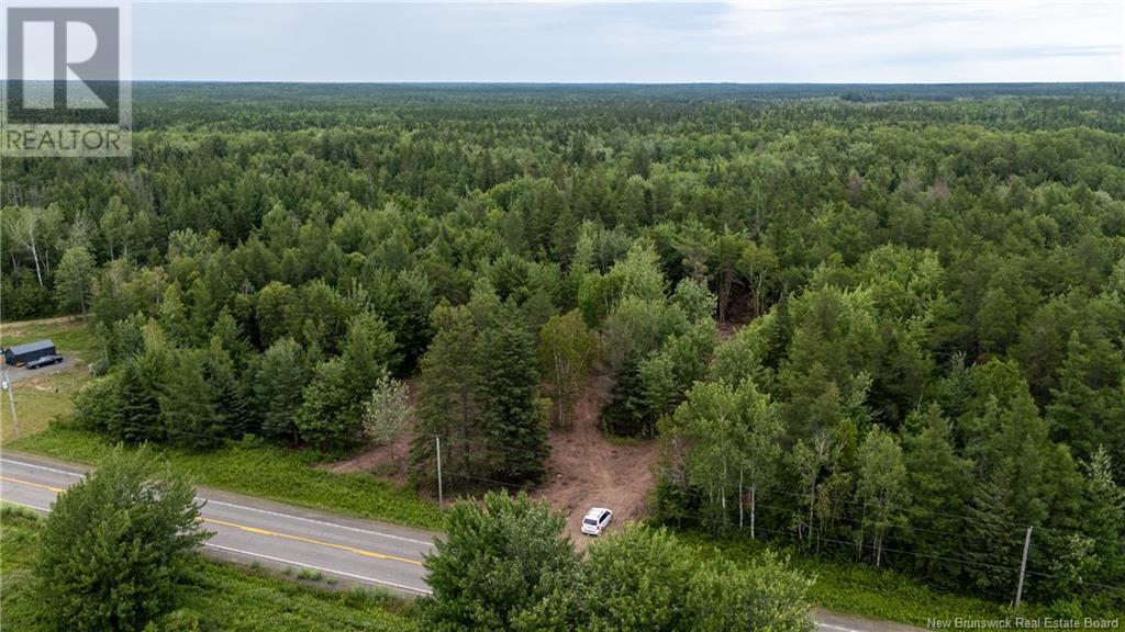 Lot Route 126, Birch Ridge, New Brunswick  E4T 2B9 - Photo 24 - NB122943
