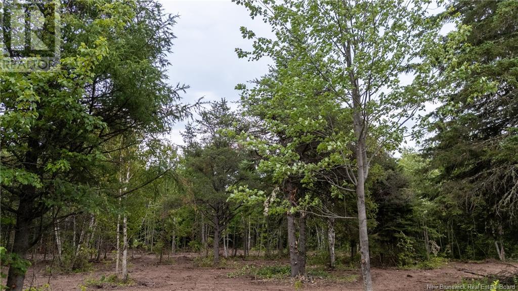 Lot Route 126, Birch Ridge, New Brunswick  E4T 2B9 - Photo 25 - NB122943