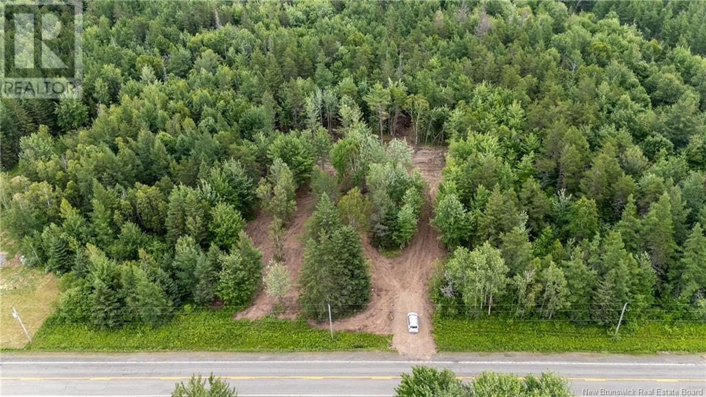 Lot Route 126, Birch Ridge, New Brunswick  E4T 2B9 - Photo 27 - NB122943