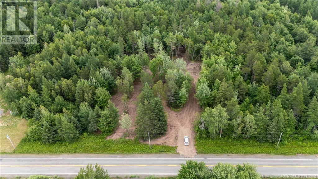 Lot Route 126, Birch Ridge, New Brunswick  E4T 2B9 - Photo 29 - NB122943