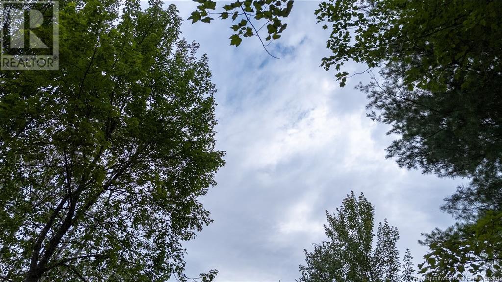 Lot Route 126, Birch Ridge, New Brunswick  E4T 2B9 - Photo 3 - NB122943