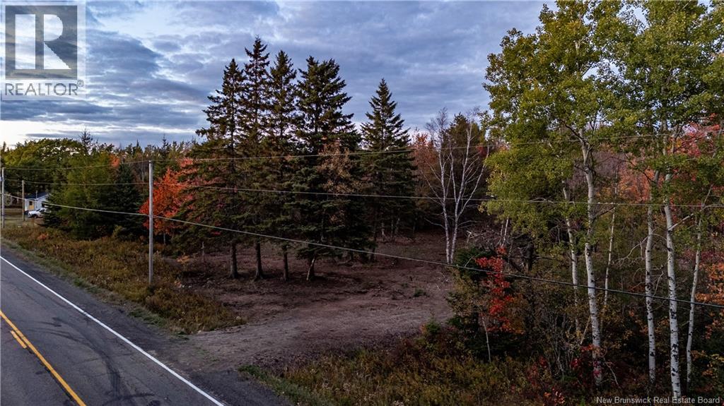 Lot Route 126, Birch Ridge, New Brunswick  E4T 2B9 - Photo 38 - NB122943