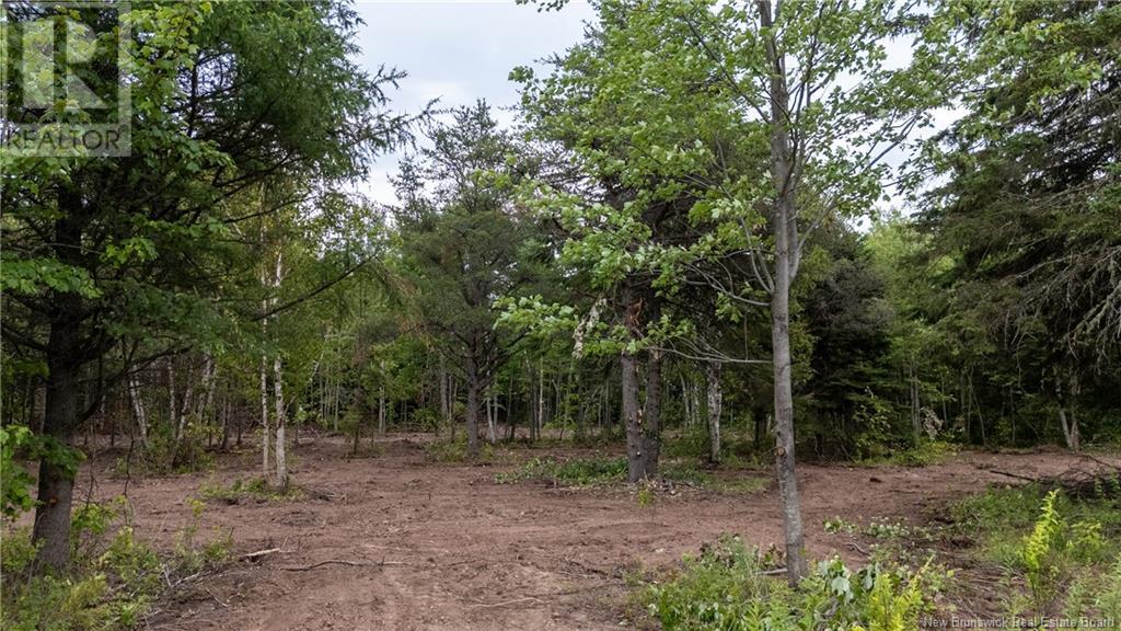 Lot Route 126, Birch Ridge, New Brunswick  E4T 2B9 - Photo 6 - NB122943