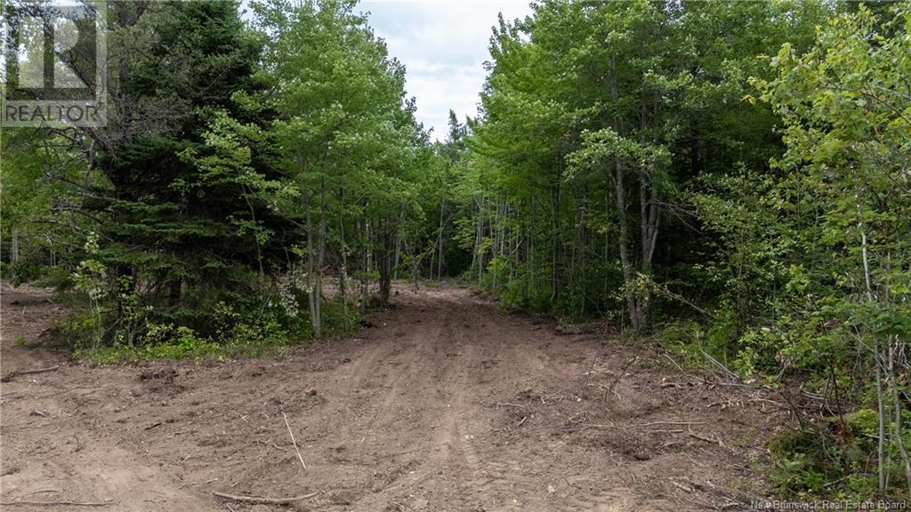 Lot Route 126, Birch Ridge, New Brunswick  E4T 2B9 - Photo 7 - NB122943