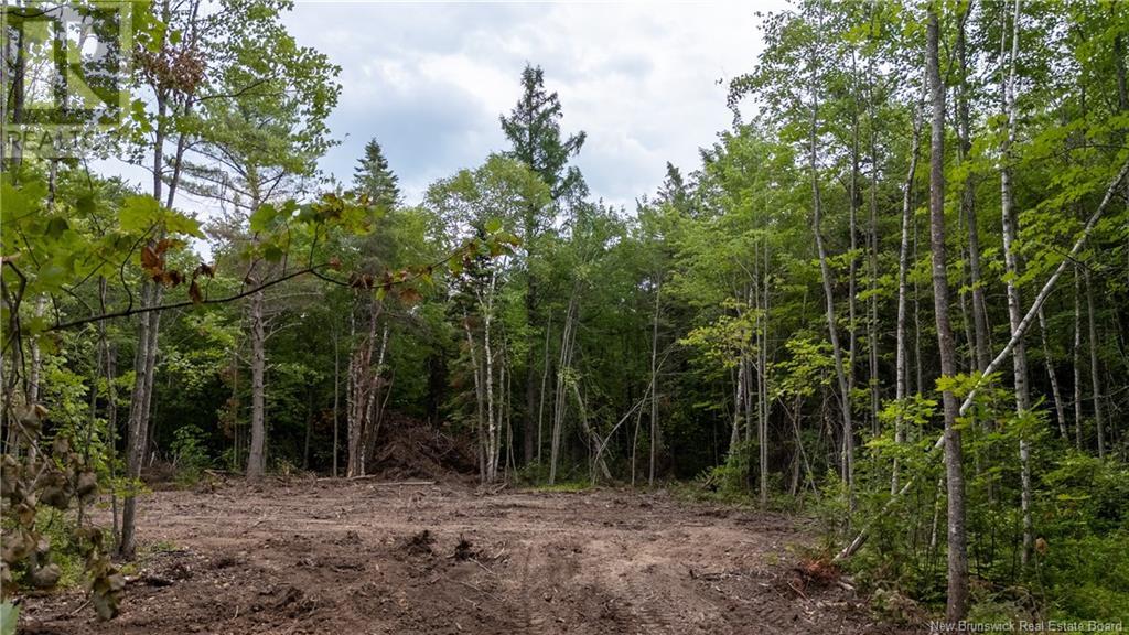 Lot Route 126, Birch Ridge, New Brunswick  E4T 2B9 - Photo 8 - NB122943
