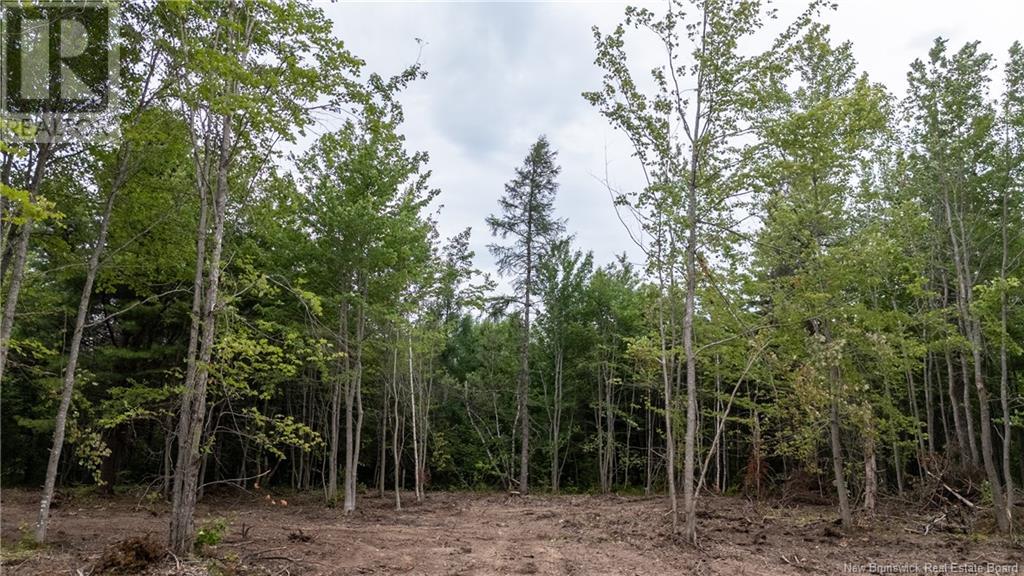 Lot Route 126, Birch Ridge, New Brunswick  E4T 2B9 - Photo 9 - NB122943