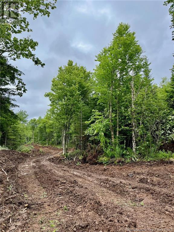23-05 Guthrie Road, Bloomfield, New Brunswick  E5N 4L6 - Photo 3 - NB122935