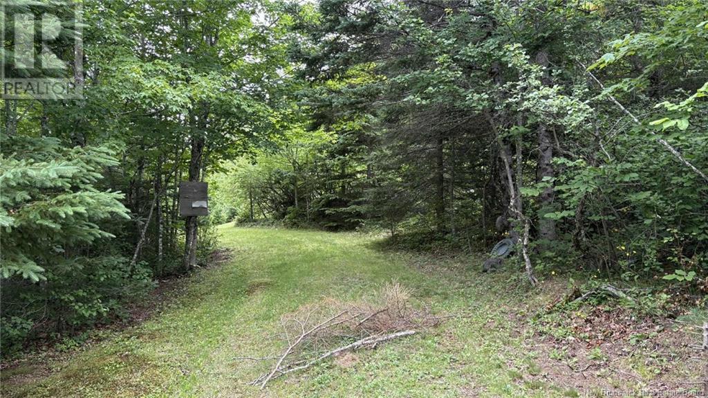 0 Carty Road, Elgin, New Brunswick  E4Z 2H1 - Photo 20 - NB122694