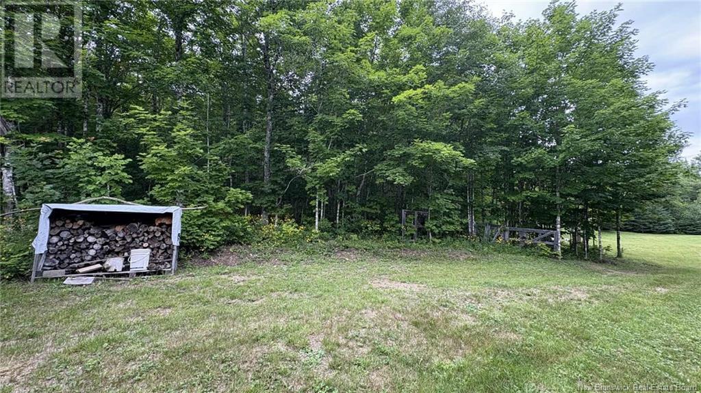 0 Carty Road, Elgin, New Brunswick  E4Z 2H1 - Photo 25 - NB122694