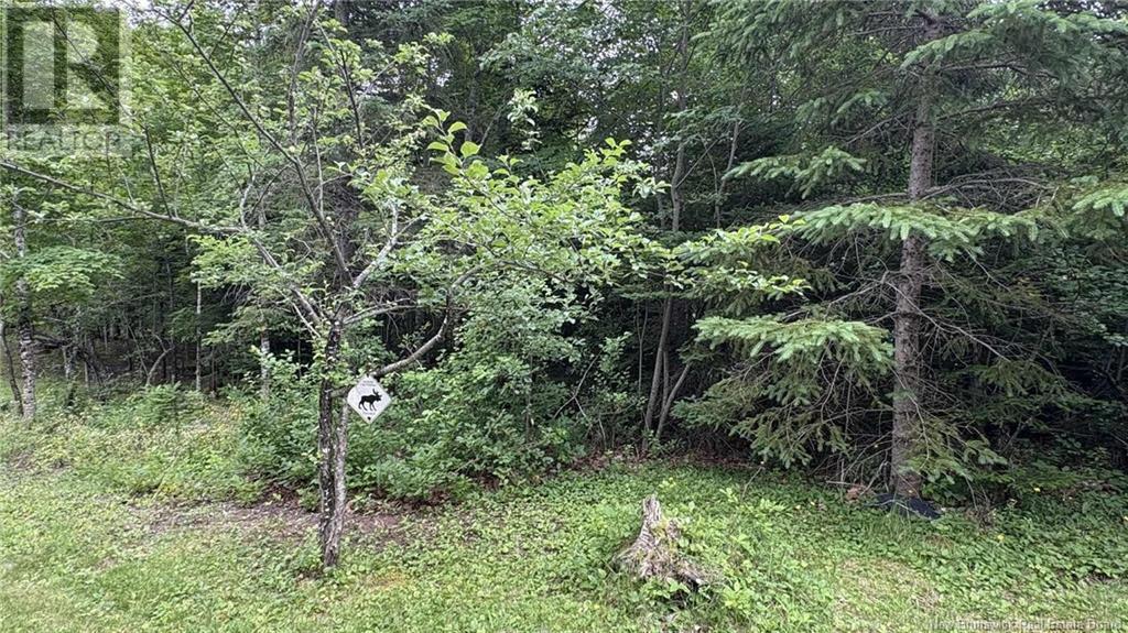 0 Carty Road, Elgin, New Brunswick  E4Z 2H1 - Photo 27 - NB122694