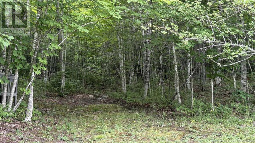 0 Carty Road, Elgin, New Brunswick  E4Z 2H1 - Photo 30 - NB122694