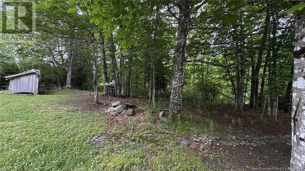 0 Carty Road, Elgin, New Brunswick  E4Z 2H1 - Photo 32 - NB122694