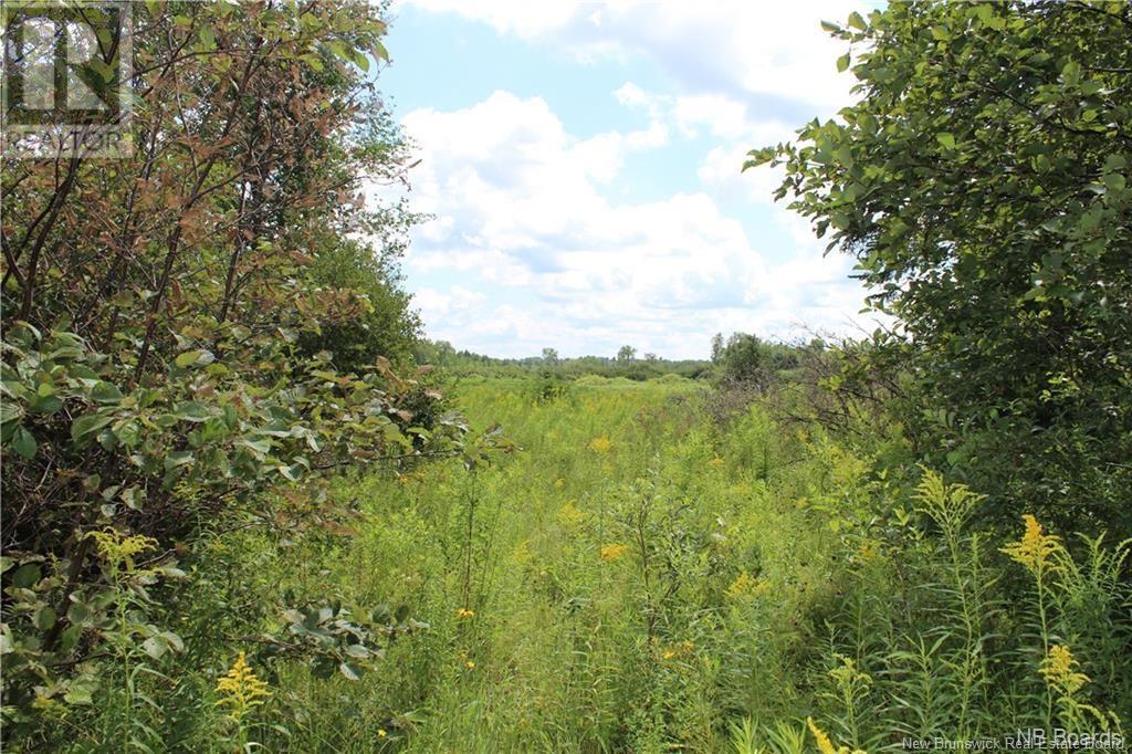 Lot 02-1 Slater Road, Maxwell, New Brunswick  E7N 2Z8 - Photo 16 - NB123026