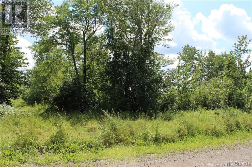 Lot 02-1 Slater Road, Maxwell, New Brunswick  E7N 2Z8 - Photo 17 - NB123026