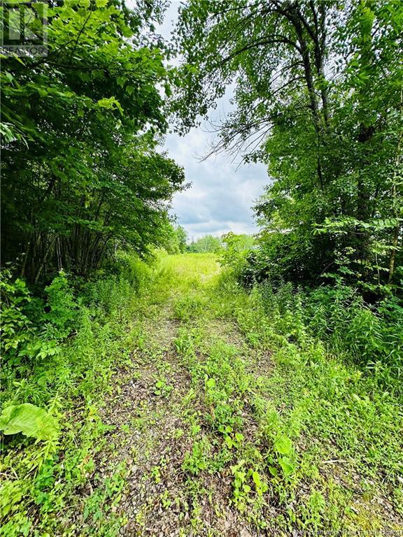 Lot 02-1 Slater Road, Maxwell, New Brunswick  E7N 2Z8 - Photo 20 - NB123026