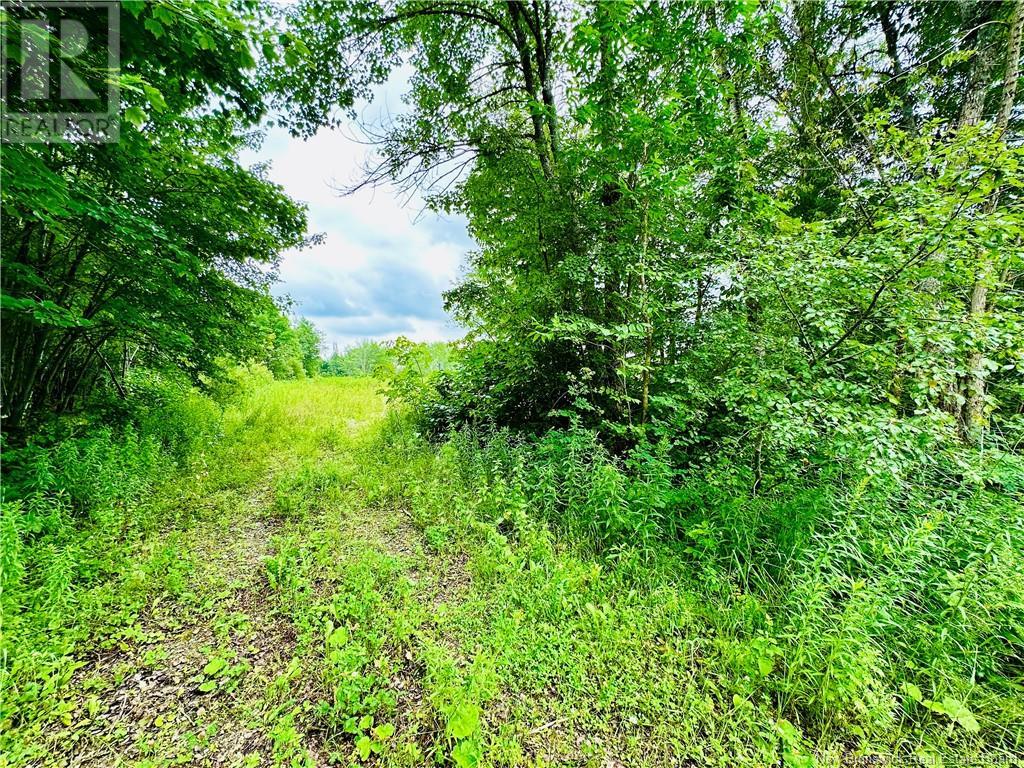 Lot 02-1 Slater Road, Maxwell, New Brunswick  E7N 2Z8 - Photo 22 - NB123026