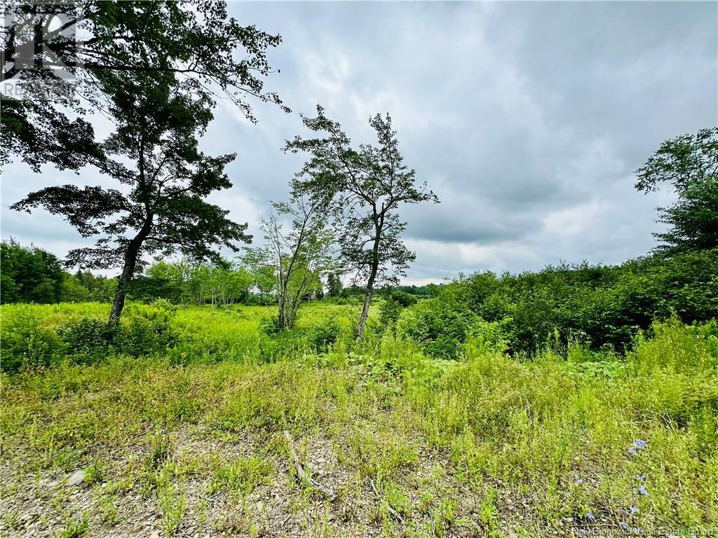 Lot 02-1 Slater Road, Maxwell, New Brunswick  E7N 2Z8 - Photo 27 - NB123026