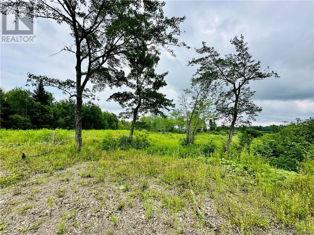 Lot 02-1 Slater Road, Maxwell, New Brunswick  E7N 2Z8 - Photo 28 - NB123026