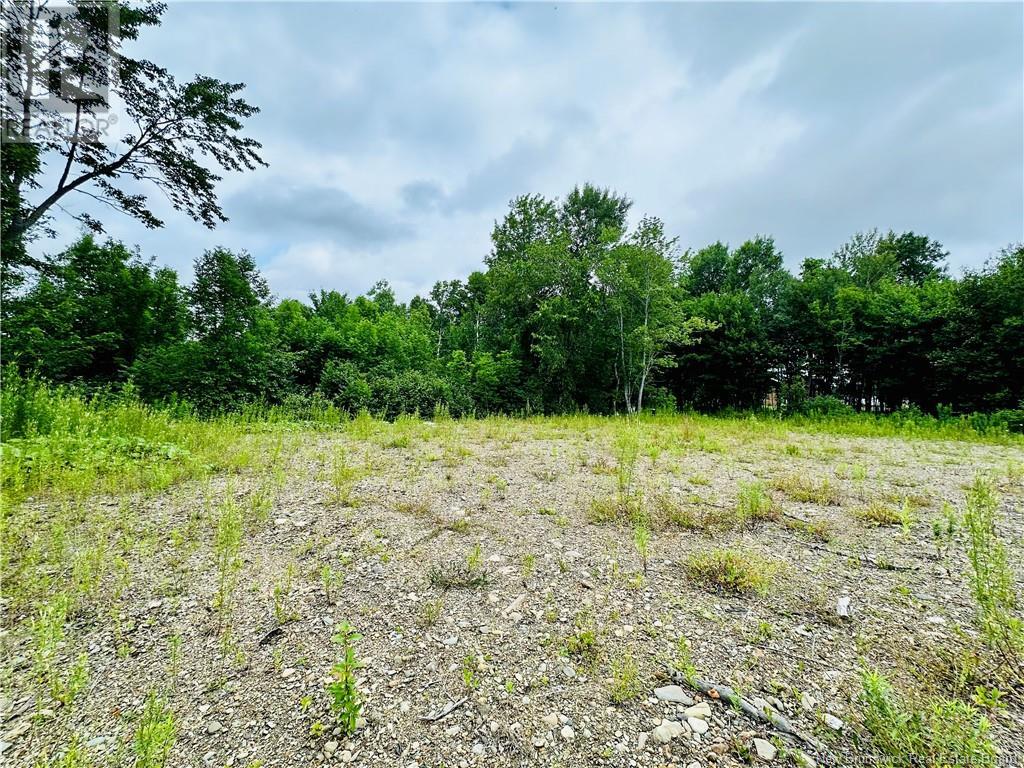 Lot 02-1 Slater Road, Maxwell, New Brunswick  E7N 2Z8 - Photo 30 - NB123026