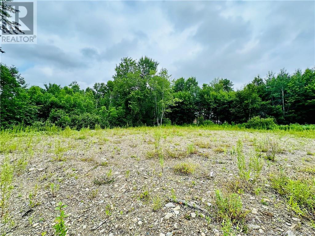 Lot 02-1 Slater Road, Maxwell, New Brunswick  E7N 2Z8 - Photo 31 - NB123026
