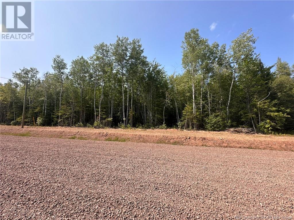 Lot 25-41 Snowfox Drive, Irishtown, New Brunswick  E1H 2N5 - Photo 4 - NB123070