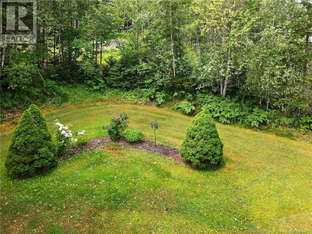 48 Renfrew Street, Petitcodiac, New Brunswick  E4Z 4S7 - Photo 7 - NB123023