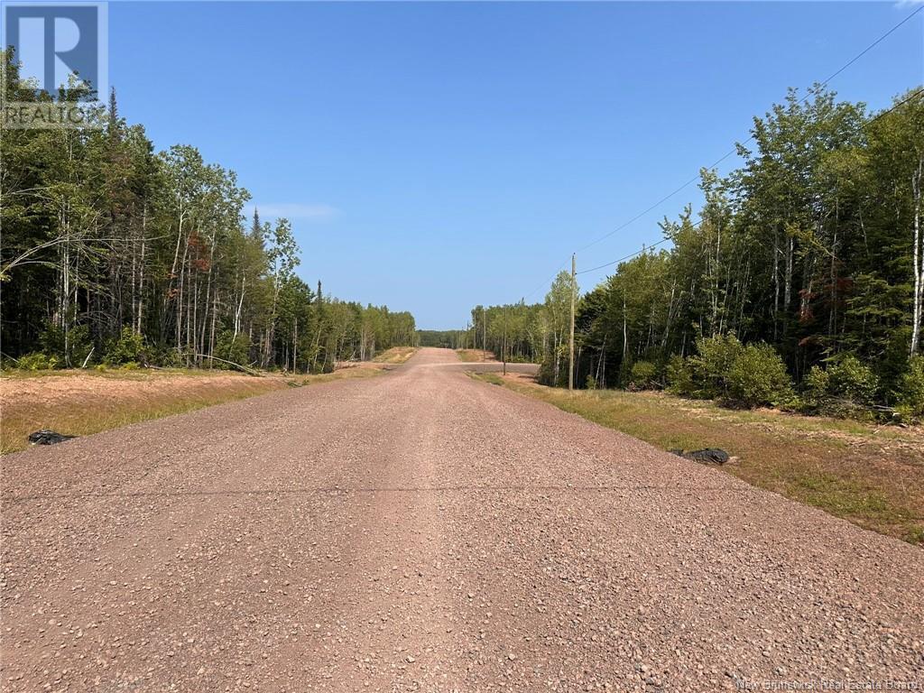 Lot 25-49 Snowfox Drive, Irishtown, New Brunswick  E1H 2N5 - Photo 2 - NB123085